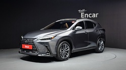 Lexus NX 2024