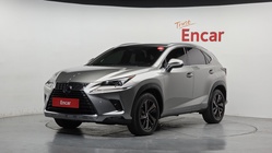 Lexus NX 2020