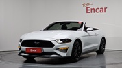 Фото 0