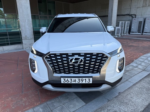 Hyundai Palisade 2019
