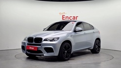 BMW X6M 2010