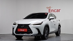 Lexus NX 2023
