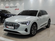 Audi e-tron 2022