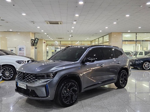 Samsung Grand Koleos 2025