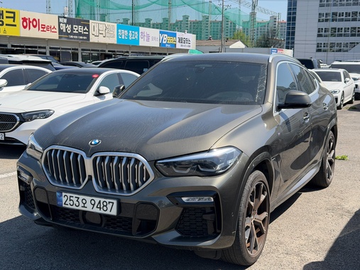 BMW X6 2021