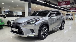 Lexus NX 2021