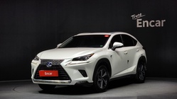 Lexus NX 2018