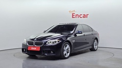 BMW 5 Series 2015