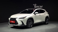 Lexus NX 2024