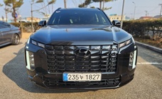 Hyundai Palisade 2024