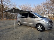 Hyundai Starex 2012