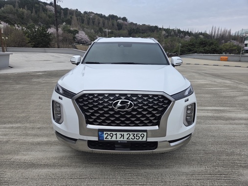 Hyundai Palisade 2021