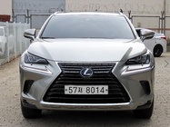 Lexus NX 2019