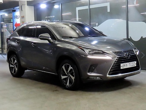 Lexus NX 2019