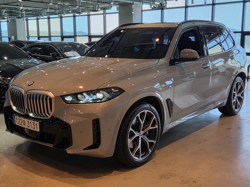 BMW X5 2025