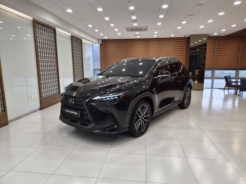 Lexus NX 2025
