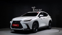 Lexus NX 2024