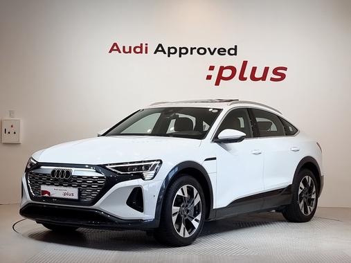 Audi Q8 e-tron 2024