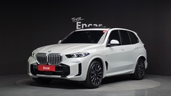 BMW X5 2025