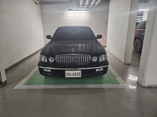 Hyundai Dynasty 2002