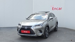 Lexus NX 2021
