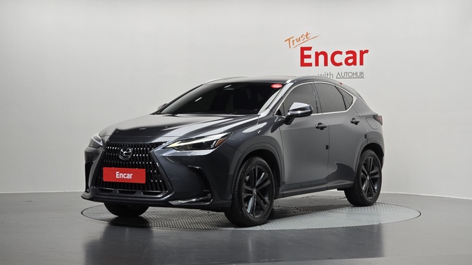 Lexus NX 2022