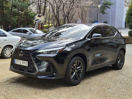 Lexus NX 2024