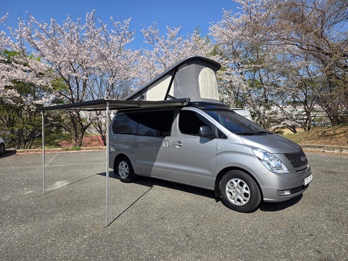 Hyundai Starex 2013