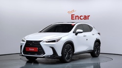Lexus NX 2022