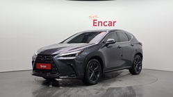 Lexus NX 2023