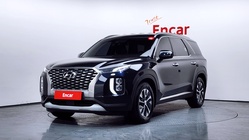 Hyundai Palisade 2019