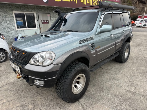 Hyundai Terracan 2004