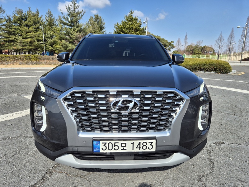 Hyundai Palisade