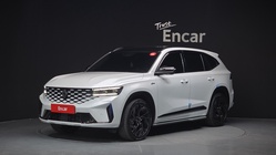 Samsung Grand Koleos 2024