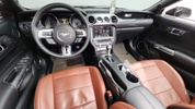 Фото 6