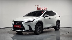 Lexus NX 2024