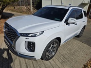 Hyundai Palisade 2020