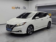 Nissan Leaf 2019