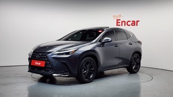 Lexus NX 2023