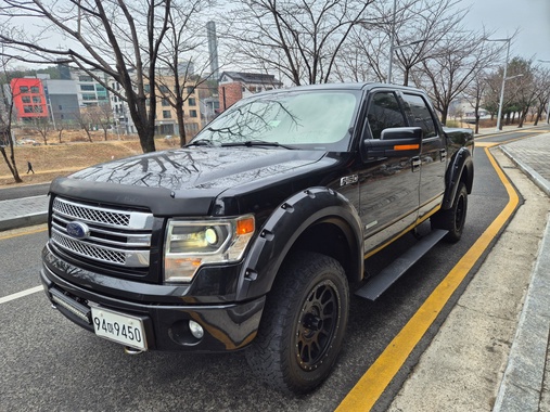 Ford F150 2013