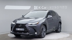 Lexus NX 2024