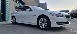 BMW 5 Series 2010