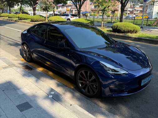 Tesla Model 3 2019