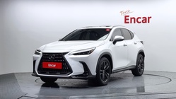 Lexus NX 2024