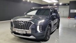 Hyundai Palisade 2019