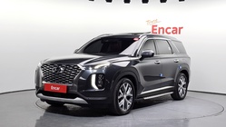 Hyundai Palisade 2019