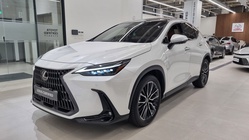 Lexus NX 2024
