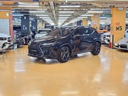 Lexus NX 2025