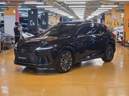Lexus RX 2024