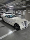 Mitsuoka Himiko 2007